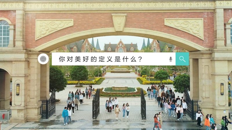 VI设计报价之谜：揭开价格背后的秘密
