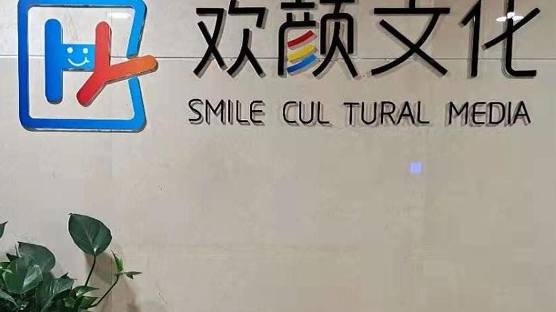 品牌策划公司定价揭秘：不只是数字的游戏